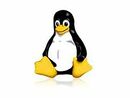 200px-Linuxlogo.jpg